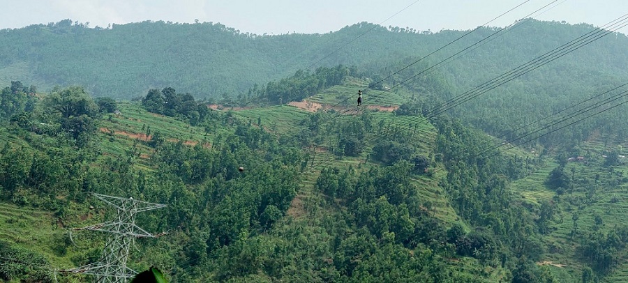 हाइटेन्सन लाइनमा चढेका विकको ९ घण्टापछि सेनाद्धारा उद्धार